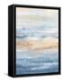 Framed Canvas