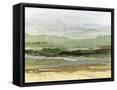 Framed Canvas