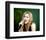 Lara Fabian-null-Framed Photo