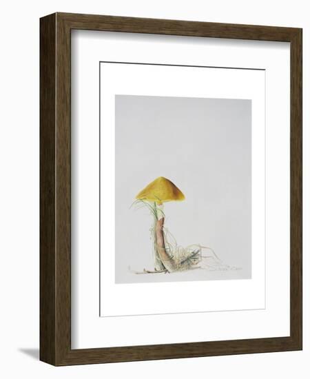 Larch Bolete, 2001-Rebecca John-Framed Giclee Print