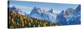 Larch forest and Cima bel Pra, Italy-Frank Krahmer-Stretched Canvas