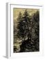 Larch Tree-Ernst Heyn-Framed Art Print