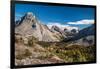 Larch trees in autumn, Burstall Pass, Mt. Burstall, Rocky Mountains, Alberta, Canada-null-Framed Photographic Print