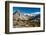 Larch trees in autumn, Burstall Pass, Mt. Burstall, Rocky Mountains, Alberta, Canada-null-Framed Photographic Print