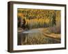 Larch Trees Reflect into McDonald Creek, Glacier National Park, Montana, USA-Chuck Haney-Framed Photographic Print