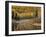 Larch Trees Reflect into McDonald Creek, Glacier National Park, Montana, USA-Chuck Haney-Framed Photographic Print