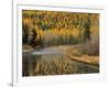 Larch Trees Reflect into McDonald Creek, Glacier National Park, Montana, USA-Chuck Haney-Framed Photographic Print