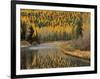 Larch Trees Reflect into McDonald Creek, Glacier National Park, Montana, USA-Chuck Haney-Framed Photographic Print