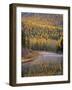 Larch Trees Reflect into Mcdonald Creek in Autumn in Glacier National Park, Montana, USA-Chuck Haney-Framed Photographic Print