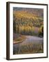 Larch Trees Reflect into Mcdonald Creek in Autumn in Glacier National Park, Montana, USA-Chuck Haney-Framed Photographic Print