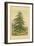 Larch-William Henry James Boot-Framed Giclee Print