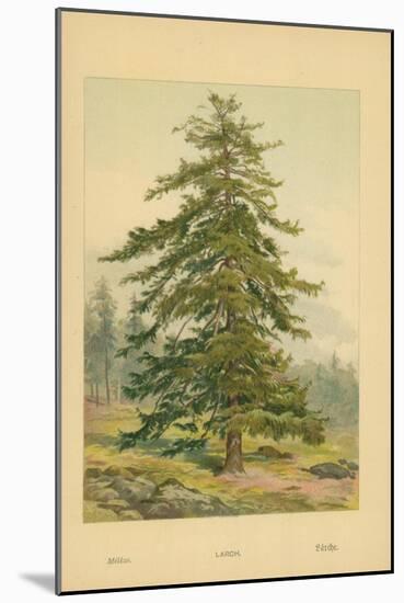 Larch-William Henry James Boot-Mounted Giclee Print