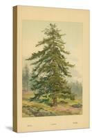 Larch-William Henry James Boot-Stretched Canvas