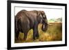 Large African Elephant-Romas Vysniauskas-Framed Photographic Print