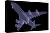 Large Aircraft-cherezoff-Stretched Canvas