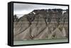 Large alluvial fans along wall of Tempelfjorden, Spitsbergen, Svalbard, Arctic-Tony Waltham-Framed Stretched Canvas