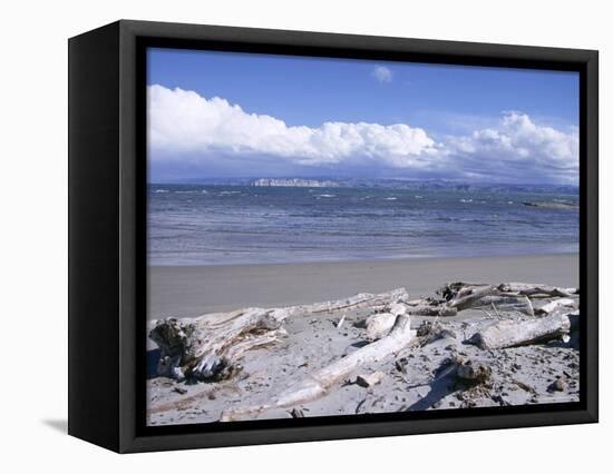 Large Amount of Driftwood on Beach, Haast, Westland, West Coast, South Island, New Zealand-D H Webster-Framed Stretched Canvas