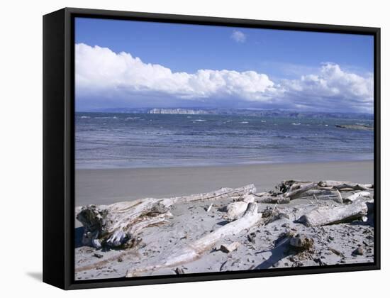 Large Amount of Driftwood on Beach, Haast, Westland, West Coast, South Island, New Zealand-D H Webster-Framed Stretched Canvas