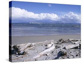Large Amount of Driftwood on Beach, Haast, Westland, West Coast, South Island, New Zealand-D H Webster-Stretched Canvas