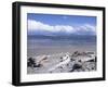 Large Amount of Driftwood on Beach, Haast, Westland, West Coast, South Island, New Zealand-D H Webster-Framed Photographic Print