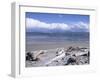 Large Amount of Driftwood on Beach, Haast, Westland, West Coast, South Island, New Zealand-D H Webster-Framed Photographic Print