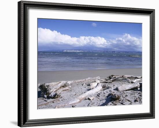 Large Amount of Driftwood on Beach, Haast, Westland, West Coast, South Island, New Zealand-D H Webster-Framed Photographic Print
