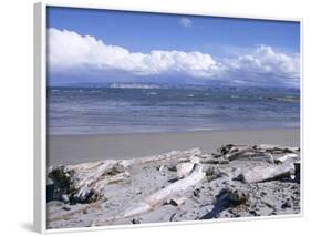 Large Amount of Driftwood on Beach, Haast, Westland, West Coast, South Island, New Zealand-D H Webster-Framed Photographic Print