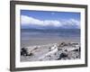 Large Amount of Driftwood on Beach, Haast, Westland, West Coast, South Island, New Zealand-D H Webster-Framed Photographic Print