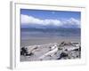 Large Amount of Driftwood on Beach, Haast, Westland, West Coast, South Island, New Zealand-D H Webster-Framed Photographic Print