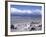 Large Amount of Driftwood on Beach, Haast, Westland, West Coast, South Island, New Zealand-D H Webster-Framed Photographic Print