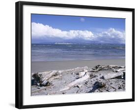 Large Amount of Driftwood on Beach, Haast, Westland, West Coast, South Island, New Zealand-D H Webster-Framed Photographic Print