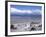 Large Amount of Driftwood on Beach, Haast, Westland, West Coast, South Island, New Zealand-D H Webster-Framed Photographic Print