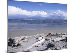 Large Amount of Driftwood on Beach, Haast, Westland, West Coast, South Island, New Zealand-D H Webster-Mounted Photographic Print