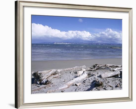 Large Amount of Driftwood on Beach, Haast, Westland, West Coast, South Island, New Zealand-D H Webster-Framed Photographic Print