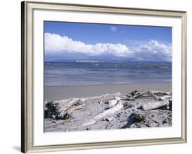 Large Amount of Driftwood on Beach, Haast, Westland, West Coast, South Island, New Zealand-D H Webster-Framed Photographic Print