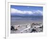 Large Amount of Driftwood on Beach, Haast, Westland, West Coast, South Island, New Zealand-D H Webster-Framed Photographic Print