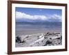 Large Amount of Driftwood on Beach, Haast, Westland, West Coast, South Island, New Zealand-D H Webster-Framed Photographic Print