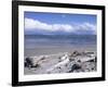 Large Amount of Driftwood on Beach, Haast, Westland, West Coast, South Island, New Zealand-D H Webster-Framed Photographic Print