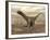 Large Argentinosaurus Dinosaur Walking on Rocky Terrain-null-Framed Art Print