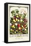 Large Array of Fruits-null-Framed Stretched Canvas