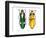 Large Asian Jewel Beetle Megaloxantha Mouhoti-Darrell Gulin-Framed Photographic Print