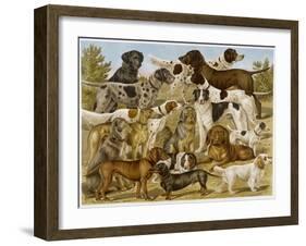 Large Assortment of Dogs: Including:Hounds Setters and Spaniels-null-Framed Art Print