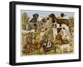 Large Assortment of Dogs: Including:Hounds Setters and Spaniels-null-Framed Art Print