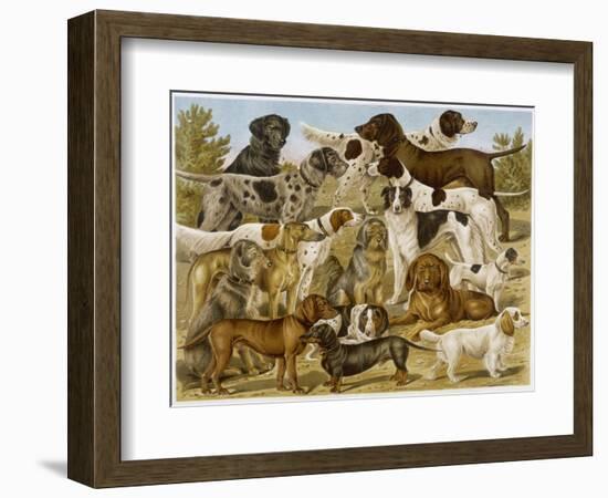 Large Assortment of Dogs: Including:Hounds Setters and Spaniels-null-Framed Art Print