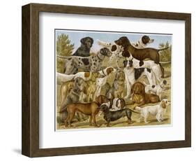 Large Assortment of Dogs: Including:Hounds Setters and Spaniels-null-Framed Art Print