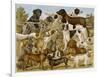 Large Assortment of Dogs: Including:Hounds Setters and Spaniels-null-Framed Art Print