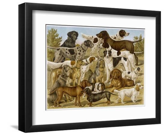 Art Print, , large