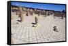 Large Baths, Roman Ruin of Sbeitla, Tunisia, North Africa, Africa-Ethel Davies-Framed Stretched Canvas