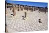 Large Baths, Roman Ruin of Sbeitla, Tunisia, North Africa, Africa-Ethel Davies-Stretched Canvas