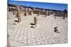 Large Baths, Roman Ruin of Sbeitla, Tunisia, North Africa, Africa-Ethel Davies-Mounted Photographic Print